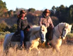 rando à cheval dans le Luberon