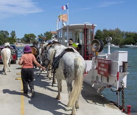 rando à cheval en Camargue