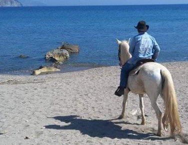 horse riding in Andalusia