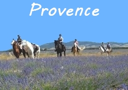 equestrian holidays in the South of France