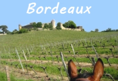 South of France horse riding holiday and vacation