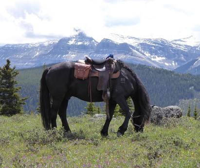 randonnée à cheval Canada