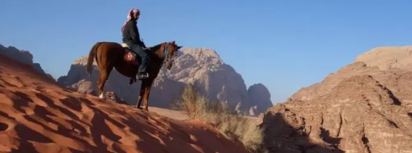 horseback trail ride in Jordan