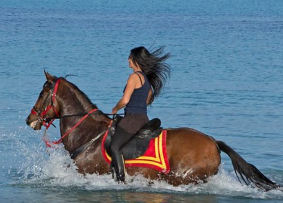 horse riding Corsica