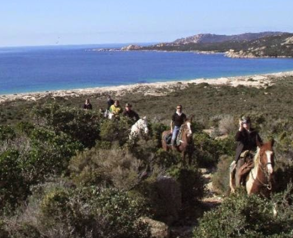 Corsica horseback trail ride