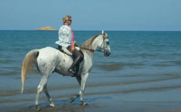 Oman horseback trail ride
