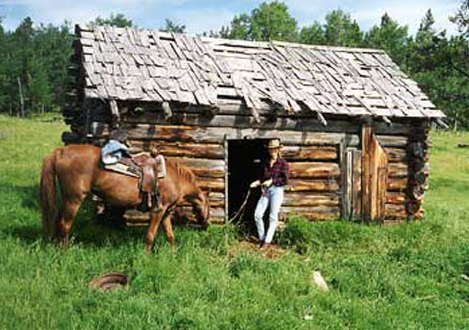 rando cheval canada