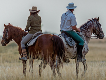 safari a cheval dans le kalahari