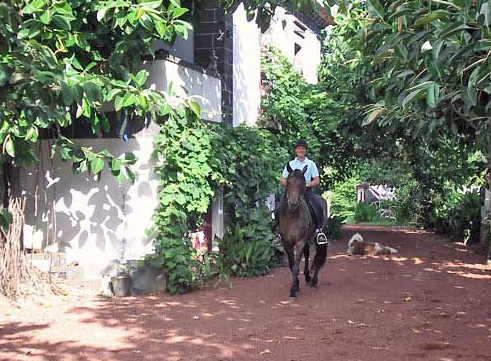 horse riding holiday in the Azores