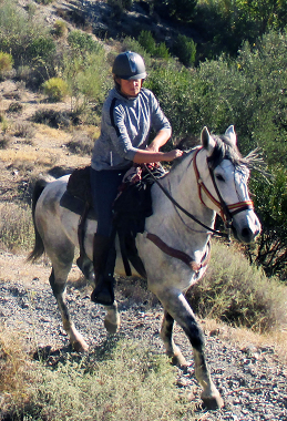 horseback riding in andalusia