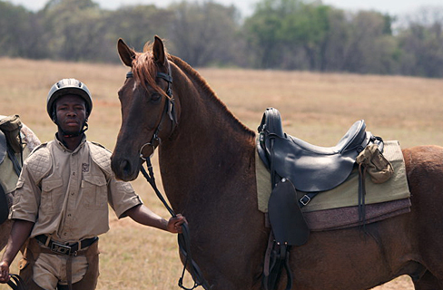 horse riding safari