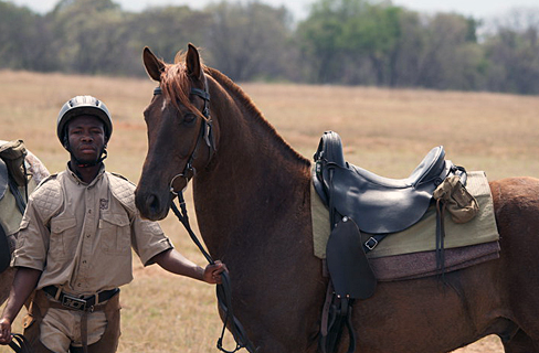 safari a cheval