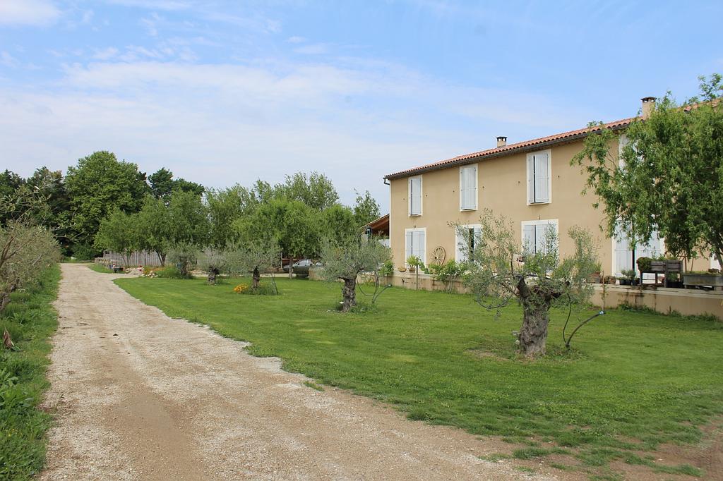 rando a cheval du luberon a la camargue