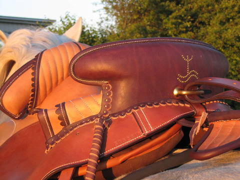 horse riding in Camargue