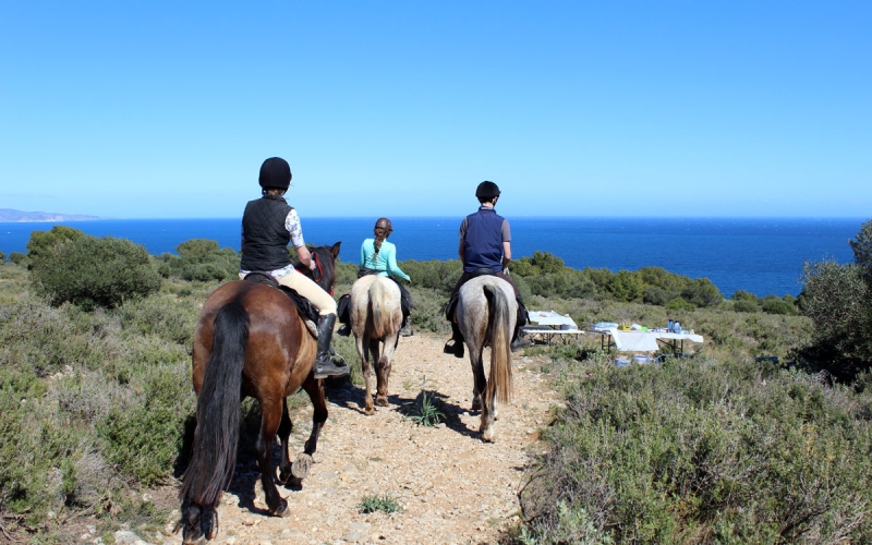 horse riding trip in Spain