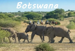 horse riding safari in Botswana