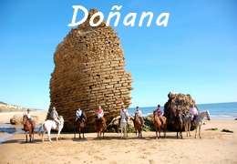 Horse riding in Andalusia