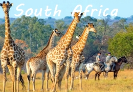 horse riding safari in South Africa