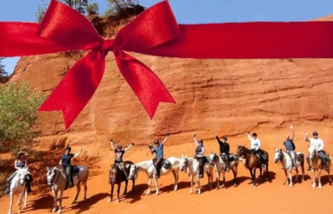 horse riding holiday gift
