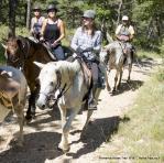 randonnee a cheval en provence