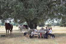 inn to inn horseback riding ride in Spain