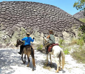 discover Brazil on horseback