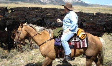 horseback tiding in Montana Usa