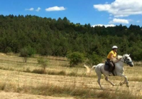equestrian holiday Croatia