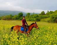 equestrian vacation Croatia