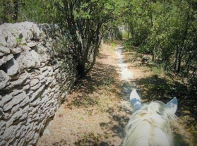 equestrian holiday Provence