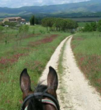 horseback riding in Tuscany