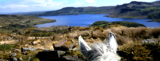 equestrian holidays in Ireland