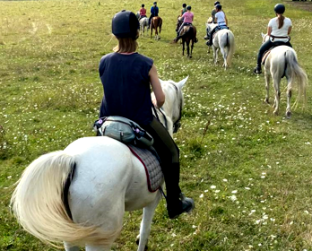 rando a cheval en Roumanie