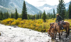 horseback trail ride Canada