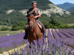 Inn to Inn horse trail ride in Provence
