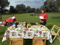 horsback trail ride in Spain