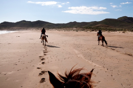 Horse riding holiday in Andalucia