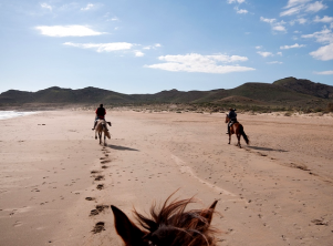 horse riding holidays in Andalusia