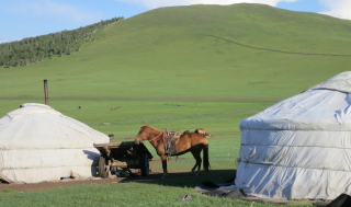 Horse riding holiday in Mongolia