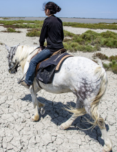 Randonnée à cheval Camargue