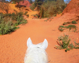 horseback riding trip in Provence