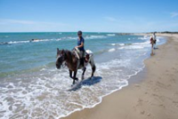 Provence equestrian holiday