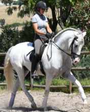stage equitation portugal