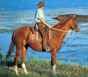 horseback safari
