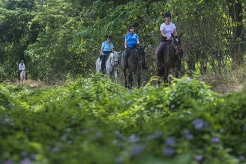 Costa Rica : Rainforest & multi-activities | Cap Rando - Horseback ...