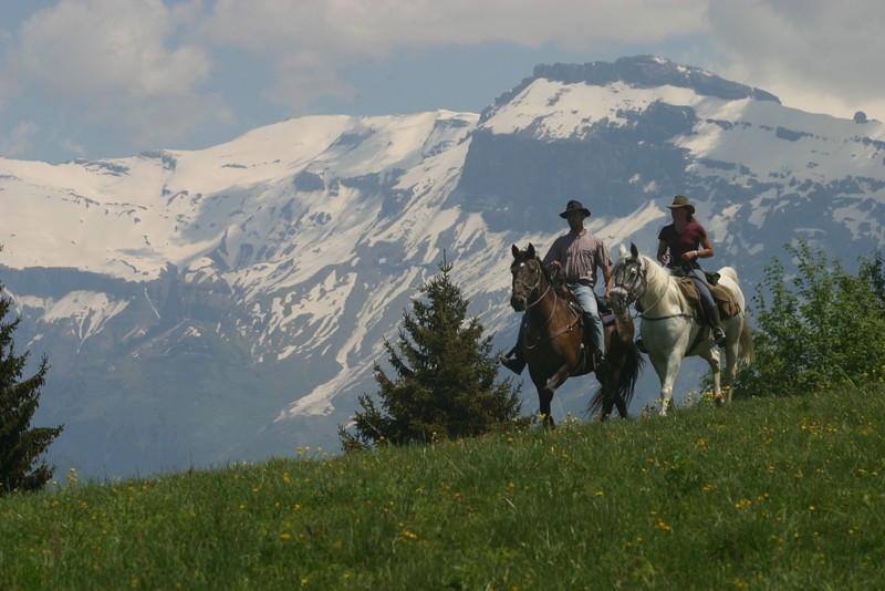 French Alps : The summits of the Alps on horseback | Cap Rando ...
