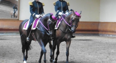 saumur horse riding