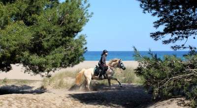 stationary horseback riding vacation in spain