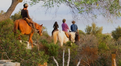 tourisme equestre en corse rando equestre en corse