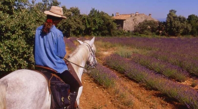 randonnee cheval Haute Provence